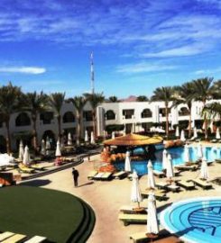 Egypt Online Tour