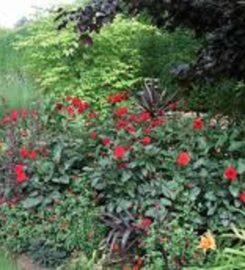 Galena Lawn Care, LLC