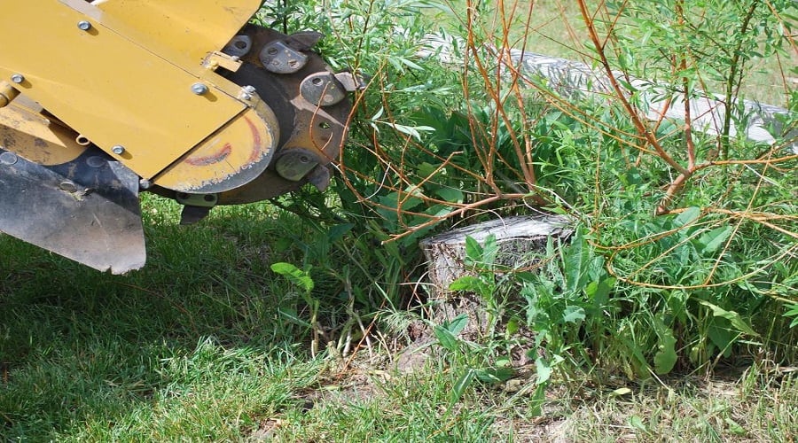 Grapevine Tree Service