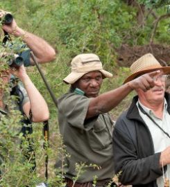 The Safari Index Africa
