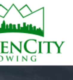 Queen City Towing