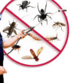 Undertaker Pest Control