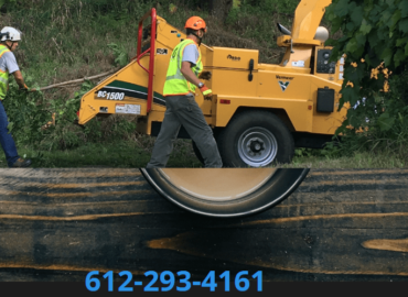 Tree Service Minneapolis