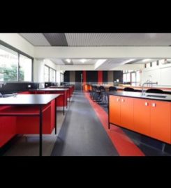 Reliable Janitorial Services, LLC