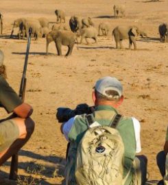 The Safari Index Africa