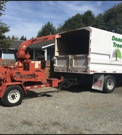 Dead or Alive Tree Service