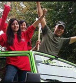 Tree Services Alpharetta