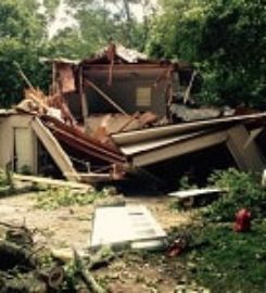 Arbor Care Tree Service