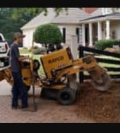 Tree Services Alpharetta