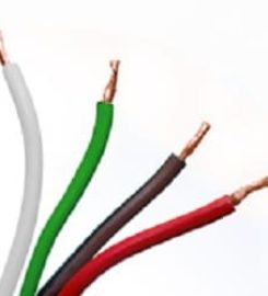 The Electrical Connection