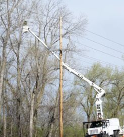 Tree Trimming Services of The Woodlands, Texas 77382