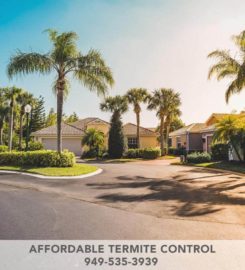 Affordable Termite Control