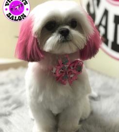 V.I.P. Pets Salon