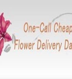 Same Day Flower Delivery Dallas TX – Send Flowers