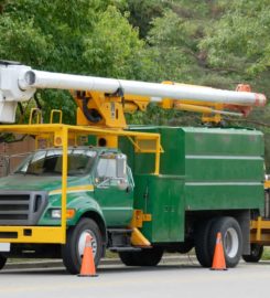 Tree Trimming Services of The Woodlands, Texas 77382