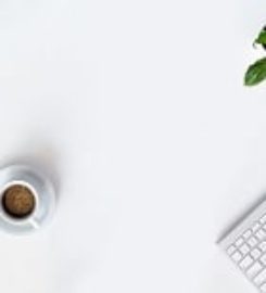 Orlando SEO Expert & Digital Marketing Company | Krotov Studi &hellip;