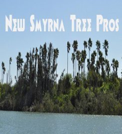 New Smyrna Tree Pros