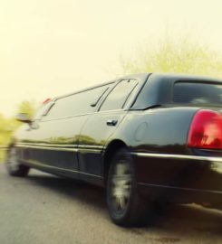 Rockstarz Limousine & Party Bus