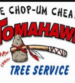 Tree Services Alpharetta