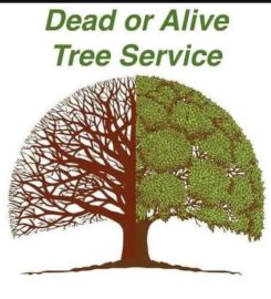 Dead or Alive Tree Service