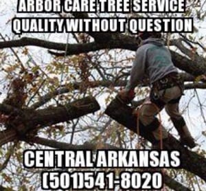Arbor Care Tree Service