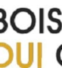 Boise DUI Guy