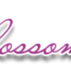 Lotus Blossom Massage