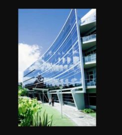Solar Shade Window Tint