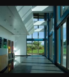 Solar Shade Window Tint