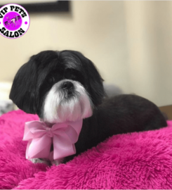 V.I.P. Pets Salon