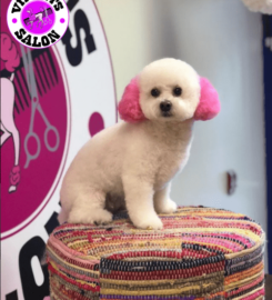 V.I.P. Pets Salon
