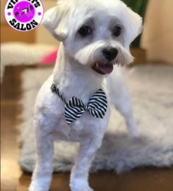 V.I.P. Pets Salon