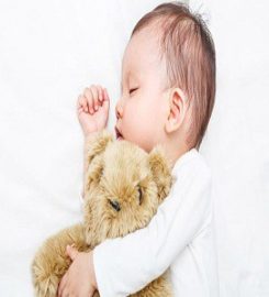 Teddyone.uk