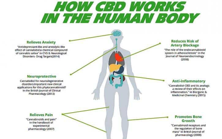 PuRx7 Hempworx CBD Oil