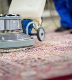 Syracuse Carpet Cleaning