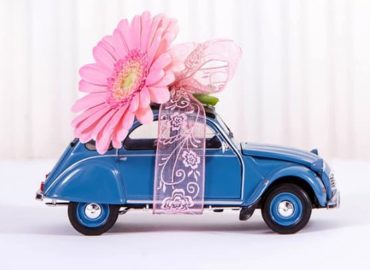 Breast Cancer Car Donations Hyattsville MD