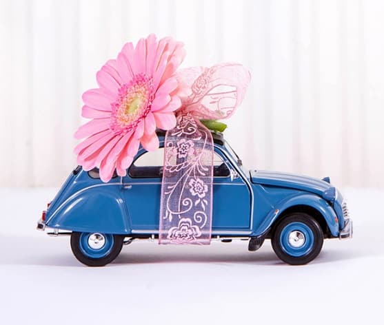 Breast Cancer Car Donations Phoenix, AZ