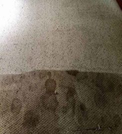 Main Cleaning Soluitons