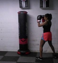 Bama Gym