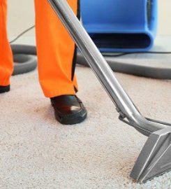 Syracuse Carpet Cleaning