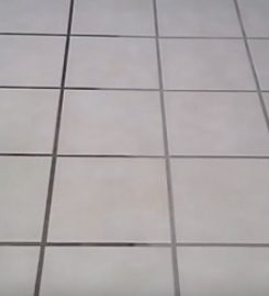 Carpet Cleaning West Palm Beach