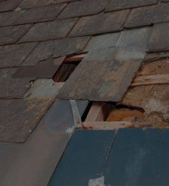 Water Damage & Roofing of Round Rock