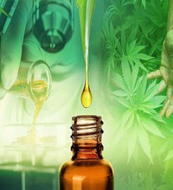 CBD Oils UK