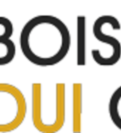 Boise DUI Guy