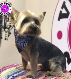 V.I.P. Pets Salon