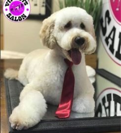 V.I.P. Pets Salon