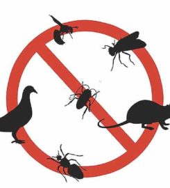 Pest Control North Shore Auckland