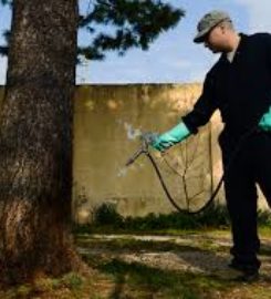 Pest Control North Shore Auckland