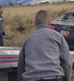 True Towing