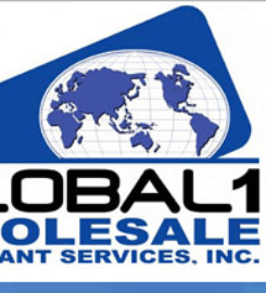 Global 1 WMS